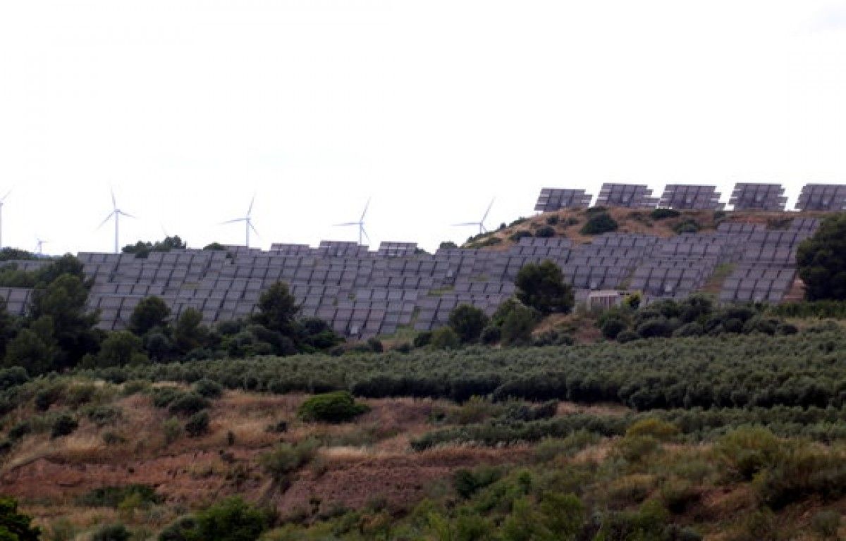 Algunes plaques solars del parc de Flix amb alguna aerogeneradors d'un parc eòlic al fons