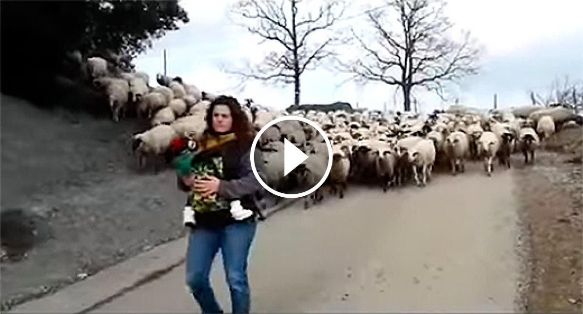 Una dona pastora