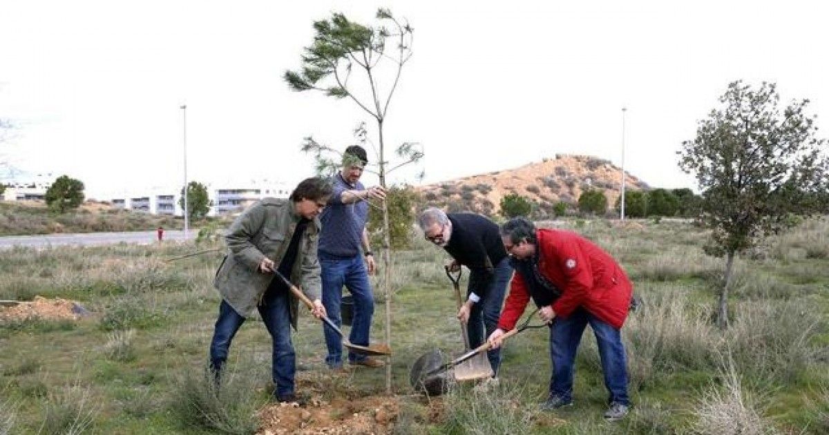 Imatge de quatre homes plantant un arbre