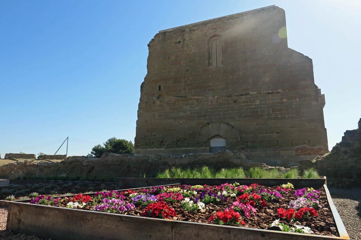 Imatge del Castell Templer de Gardeny