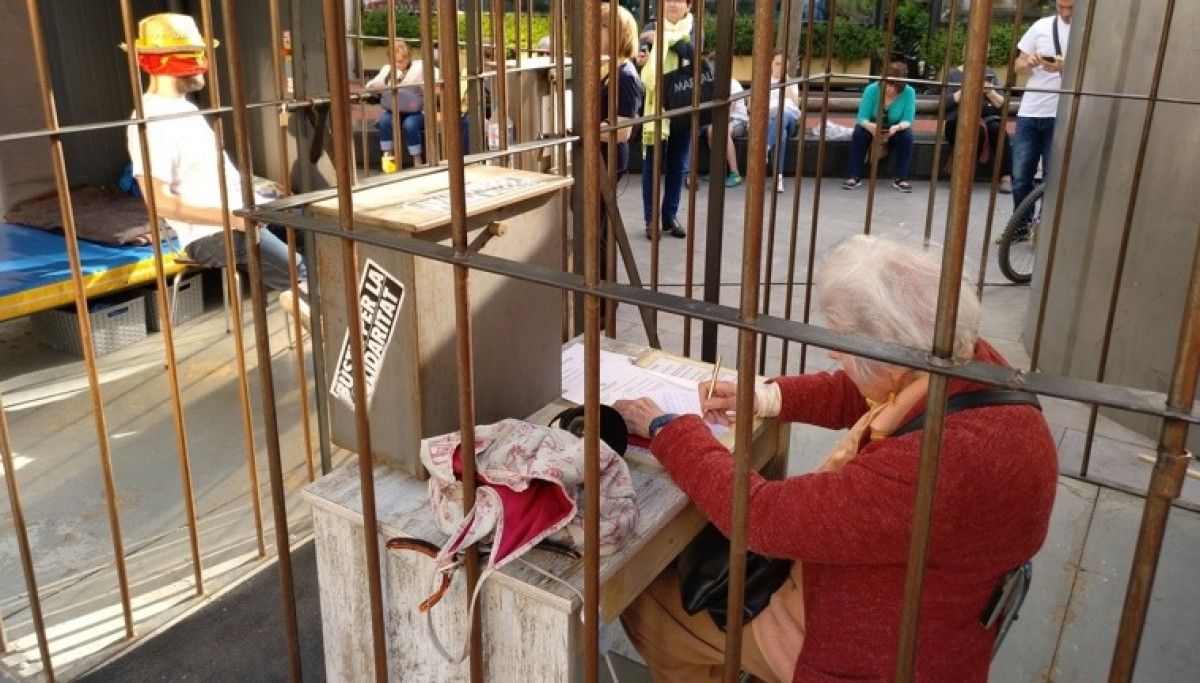 Imatge de les cel·les de la campanya