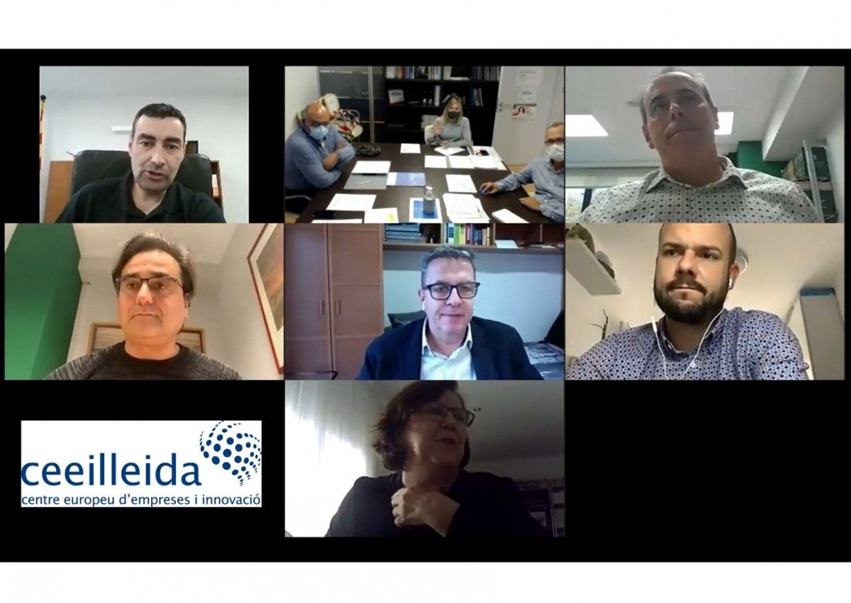 Captura de pantalla de la reunió del consell directiu del CEEILleida.