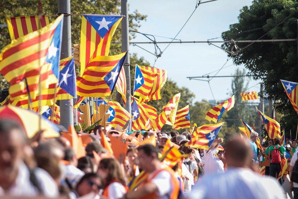 Milers de persones ompliran els marges del Segre a Lleida