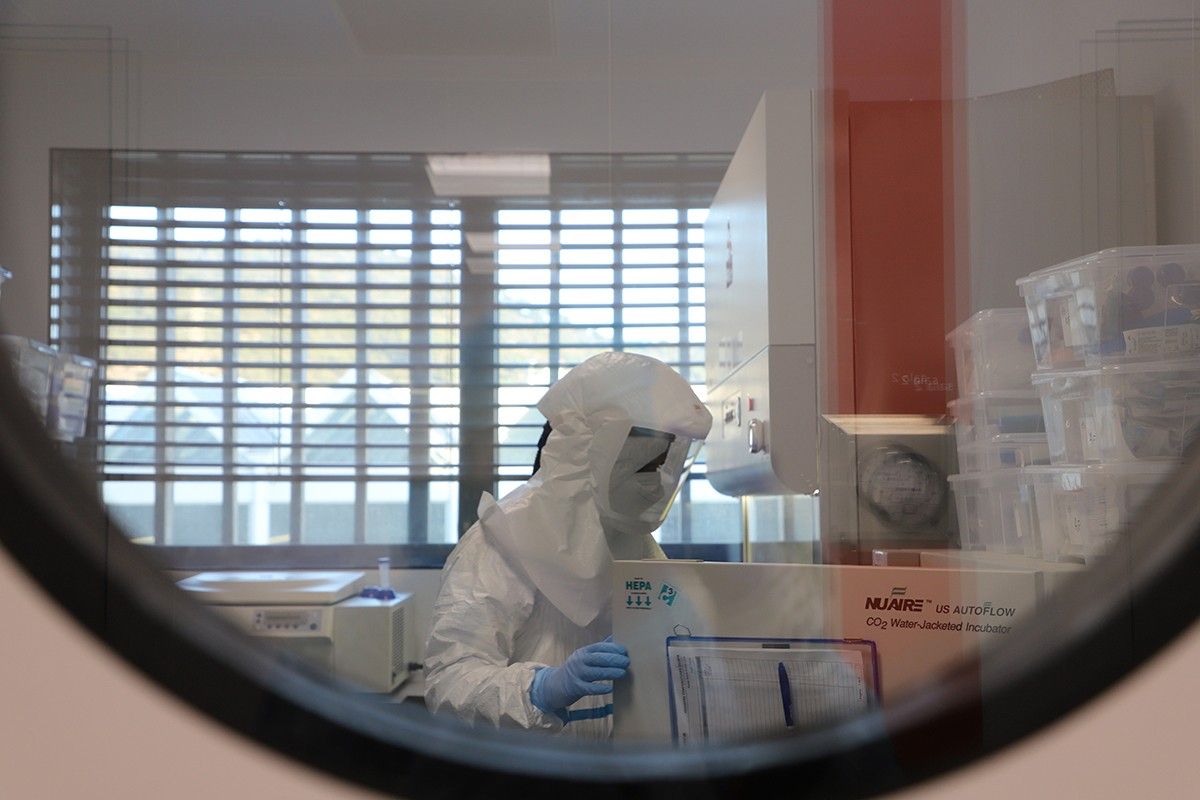Un laboratori de coronavirus
