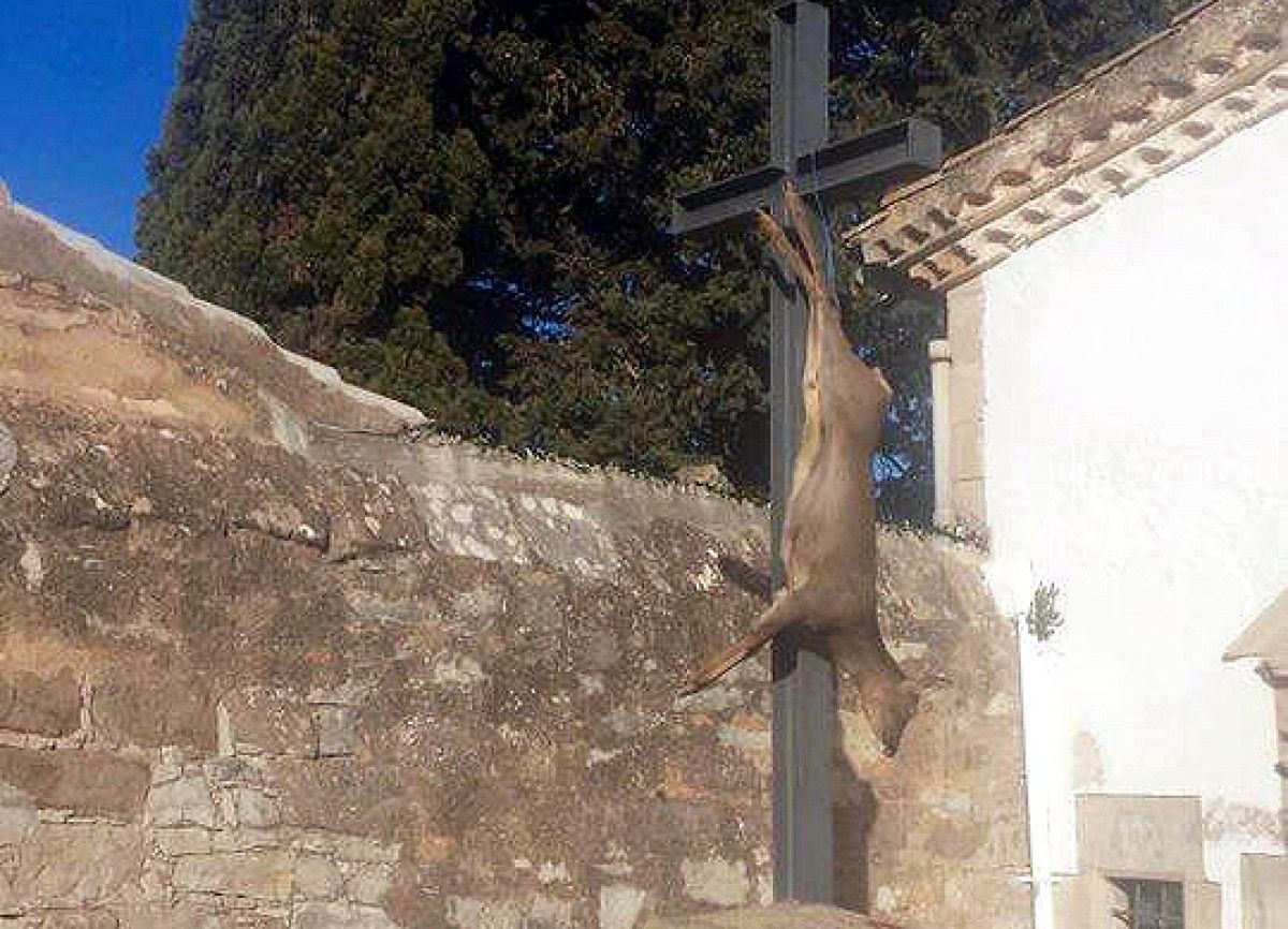 El cabirol penjat en la creu del cementiri de Moià