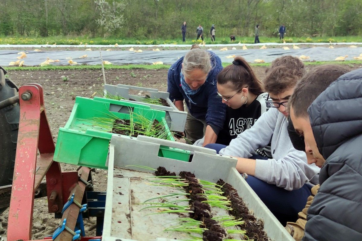 Estudiants de l'Escola Agrària de Manresa fent pràctiques a Dinamarca