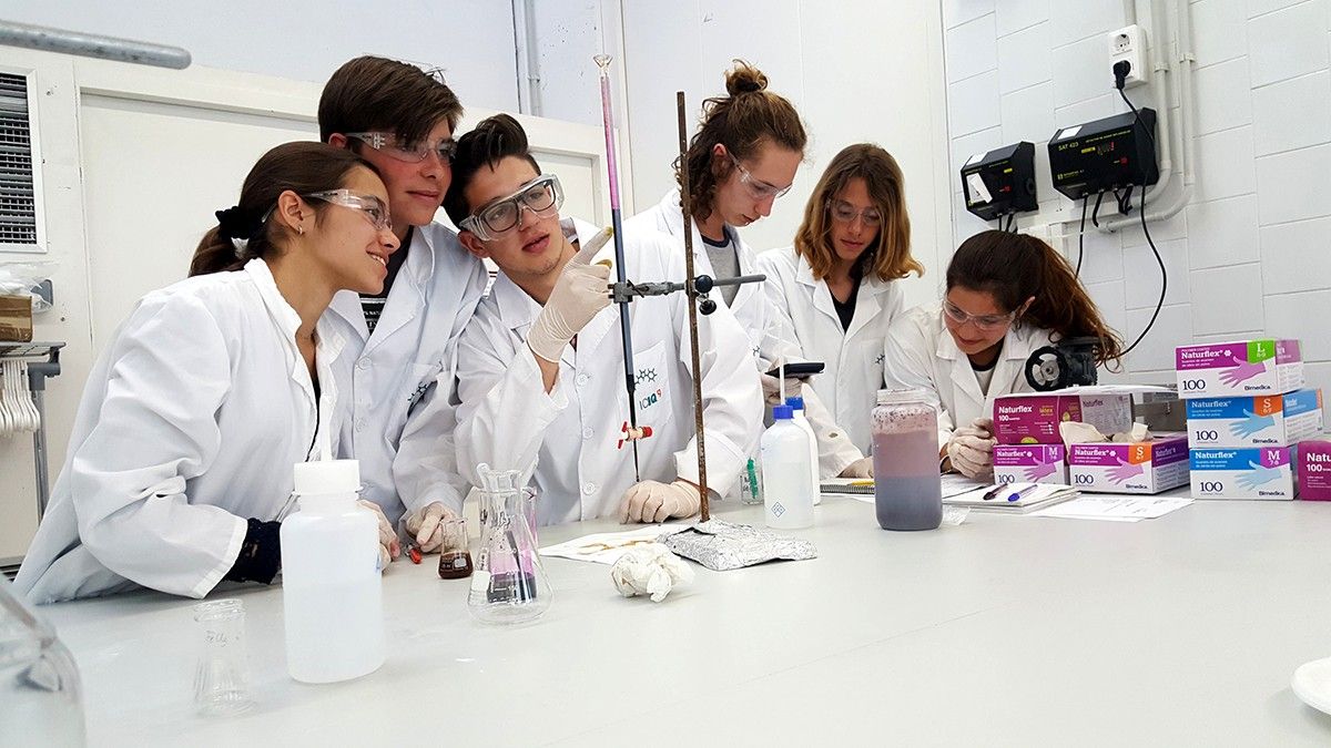 Un grup d'estudiants de la darrera edició de 'Bojos per la ciència' mentre participen en una de les activitats