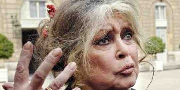 La vella actriu i militant animalista a l'Elysée el 2007.