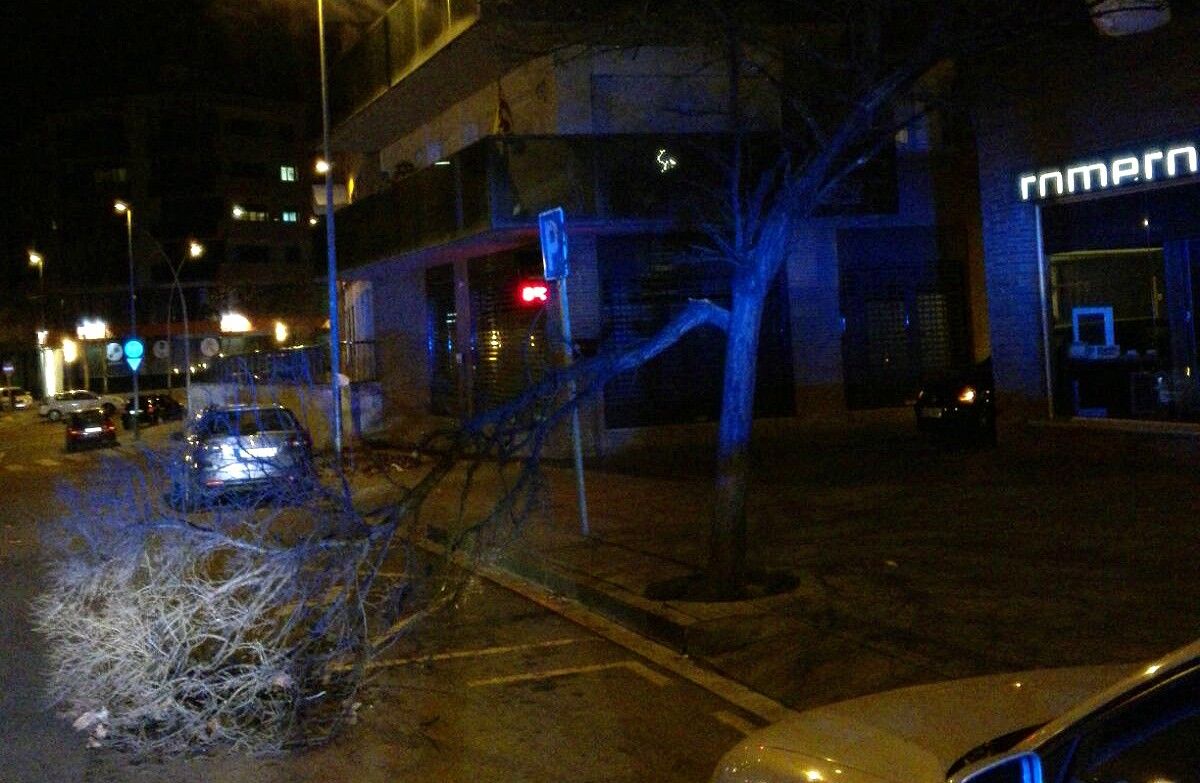 La branca d'un arbre trencat al carrer Dante de Manresa