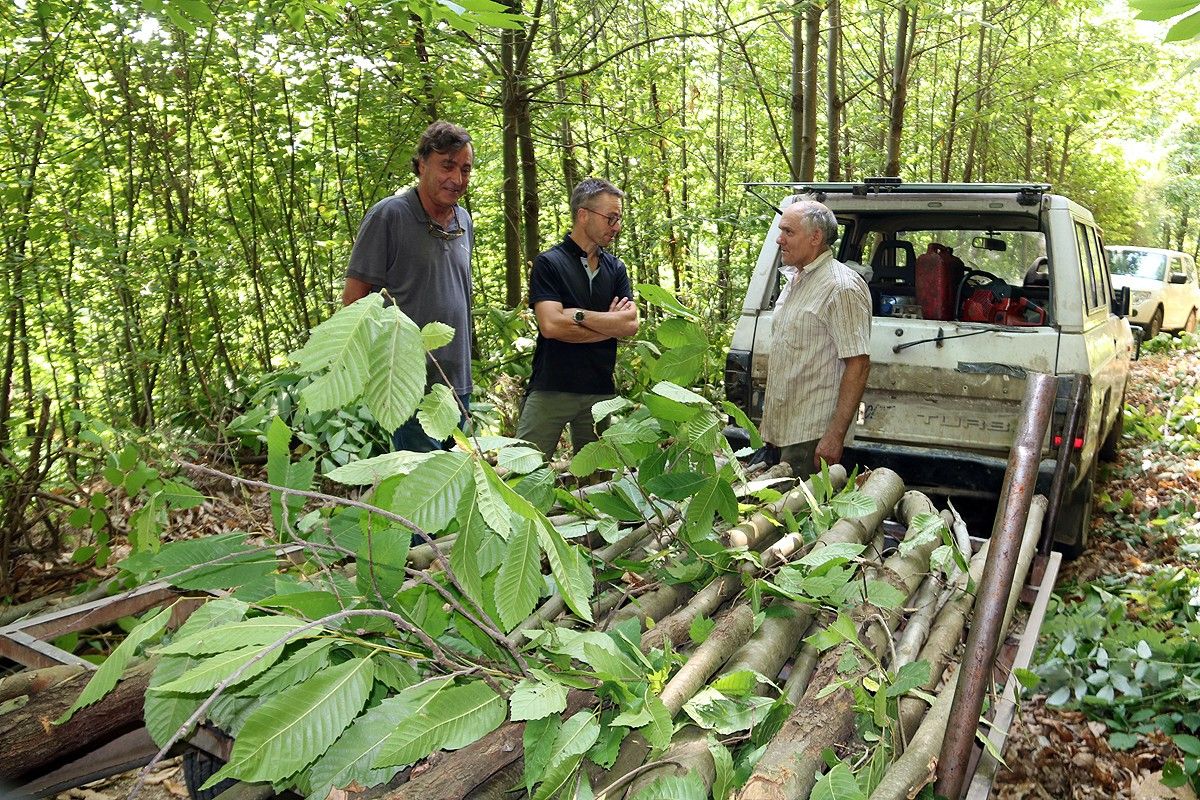 Propietaris forestals denuncien traves en la gestió dels boscos: «Només ens  en recordem quan es cremen»