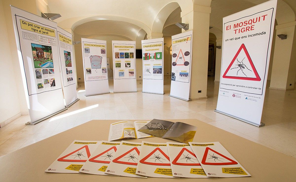L'exposició de la Diputació sobre el mosquit tigre arriba a Artés