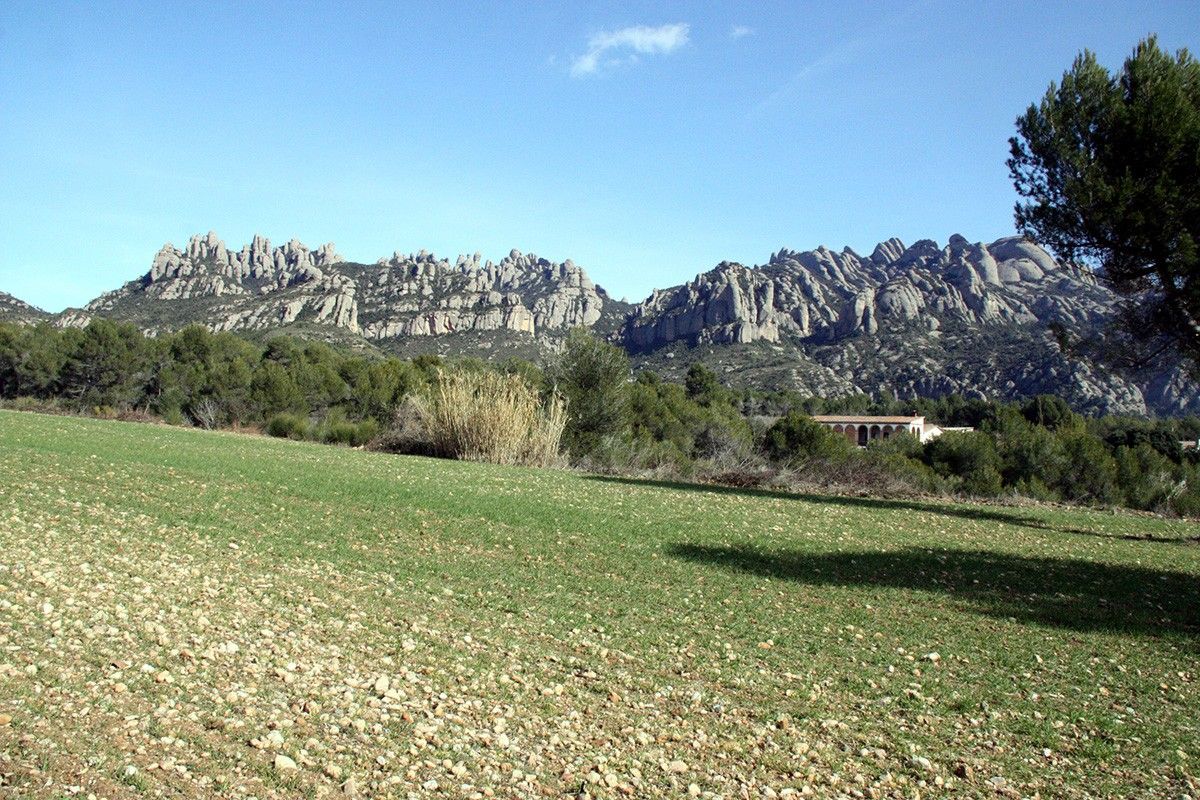 Paisatge del municipi del Bruc amb les muntanyes de Montserrat de fons