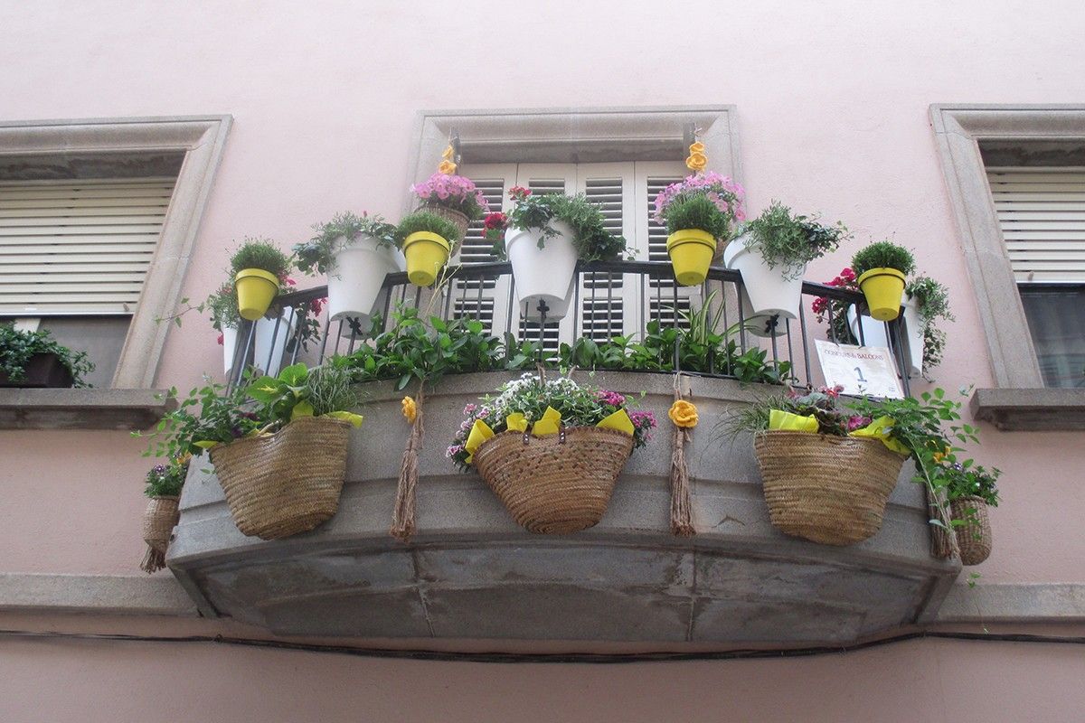 Primer premi del concurs de balcons florits, de Montserrat Ferrer