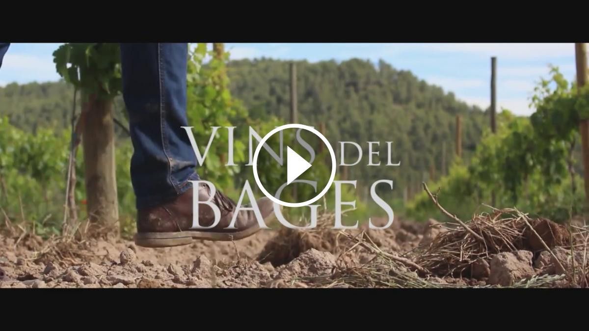 VÍDEO Documental «Vins del Bages»