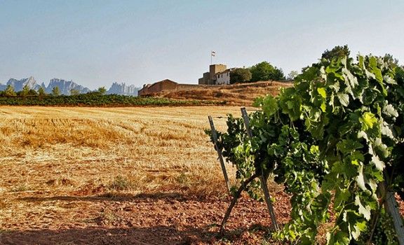 Una vista de la masia fortificada d'Oller del Mas, amb les vinyes en primer pla i Montserrat al fons