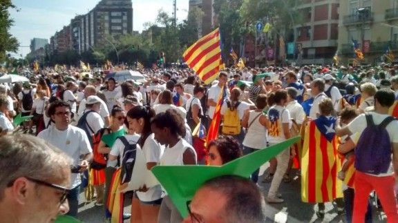 Una imatge de la Diada de l'any 2015 a Barcelona