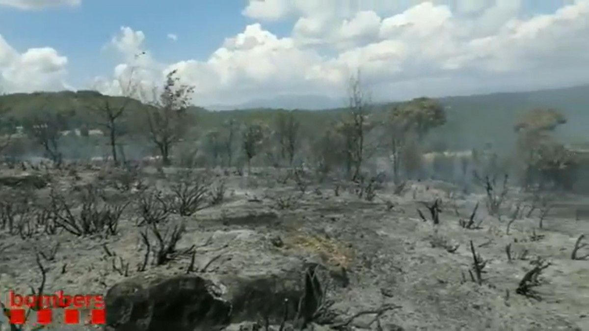 Vídeo | Zona cremada al Mujal de Navàs
