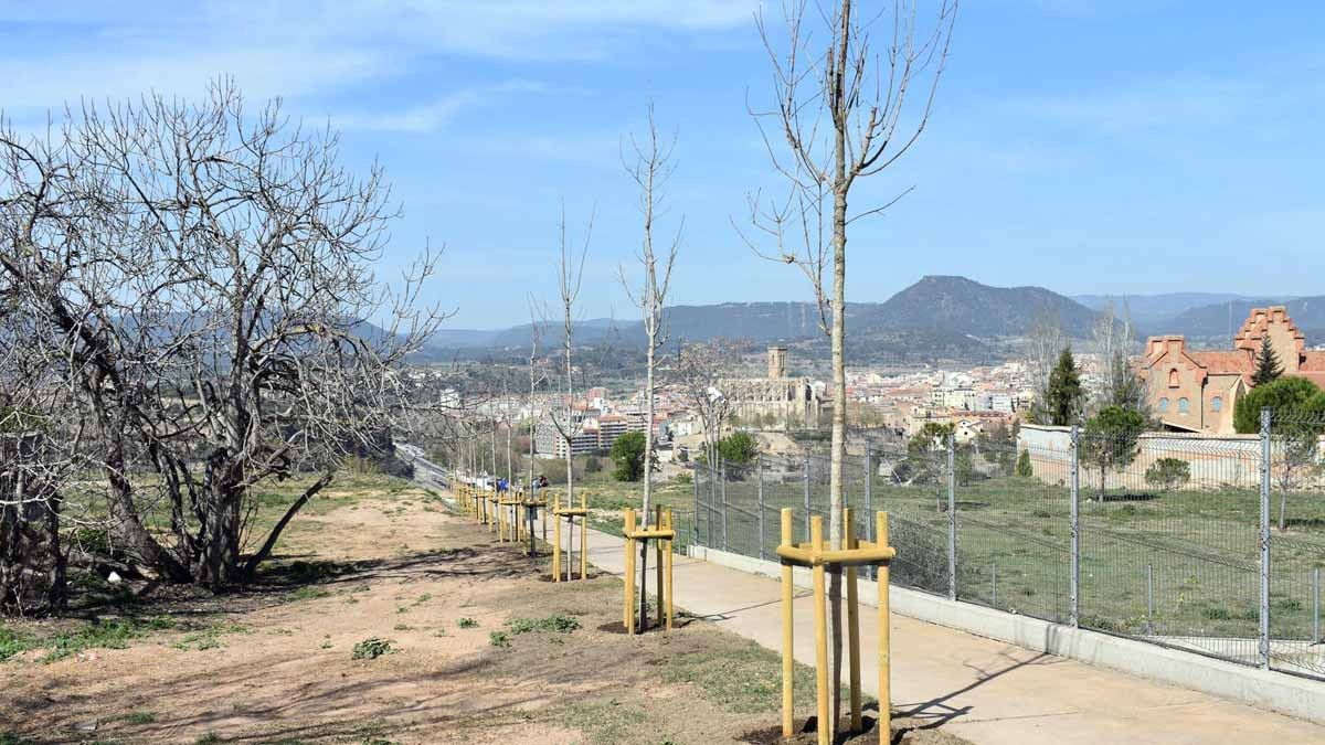 Plantació de nous arbres a l'entorn de Santa Clara