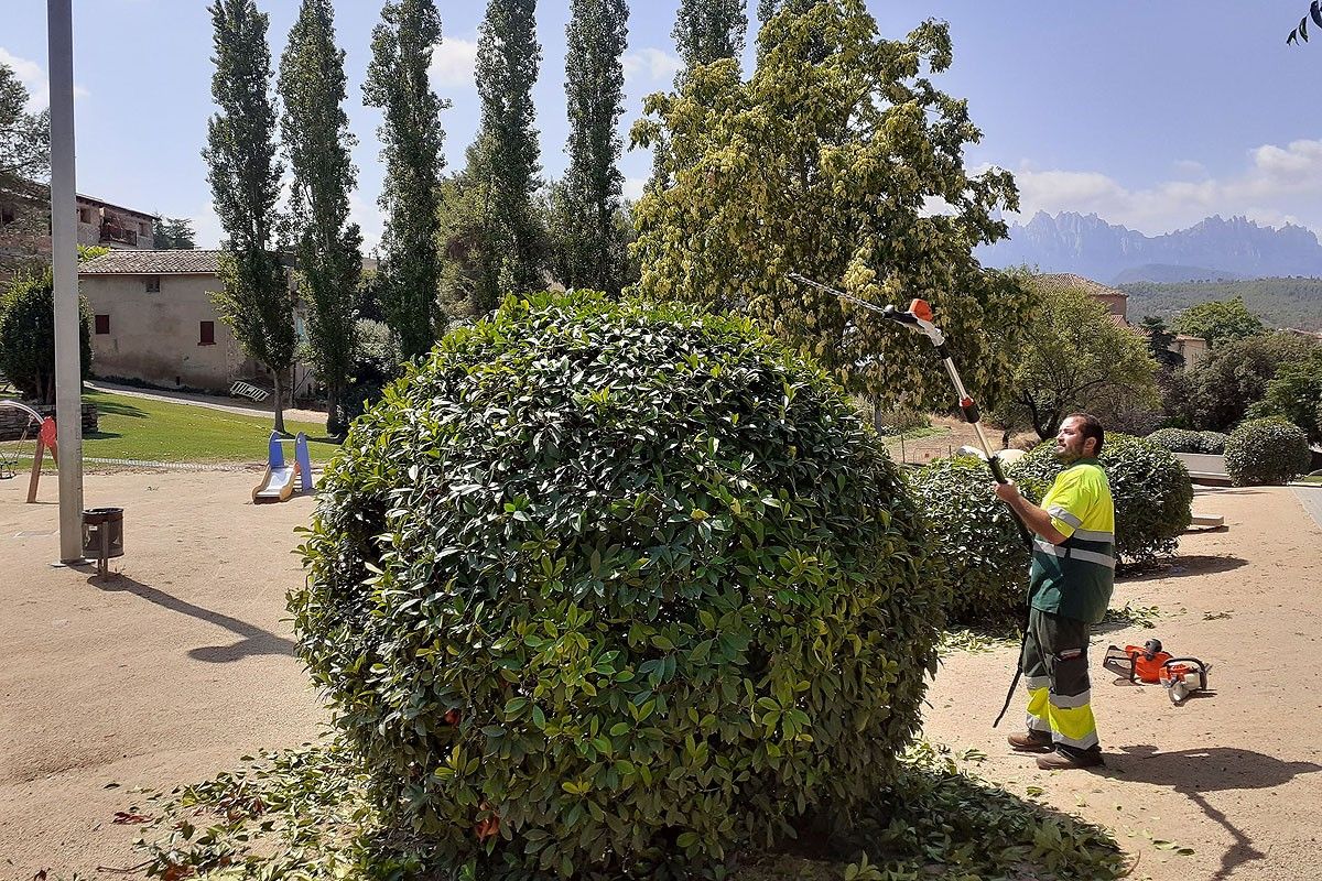 Operari de jardineria de Sant Vicenç de Castellet