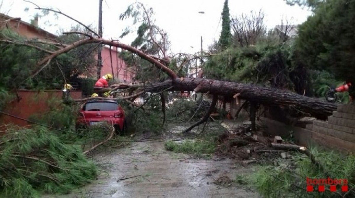 Arbre caigut a sobre un turisme a Moià