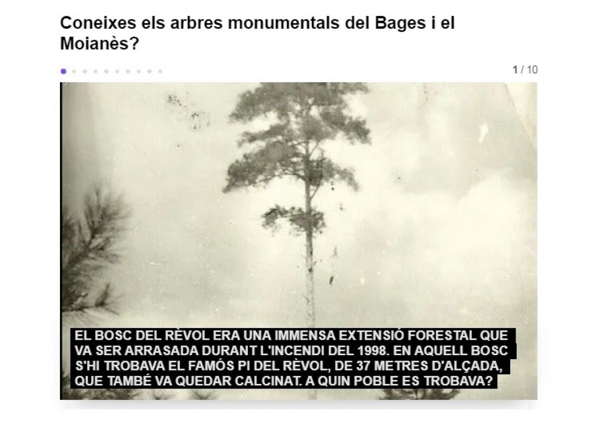 Què en saps dels arbres monumentals del Bages i el Moianès?