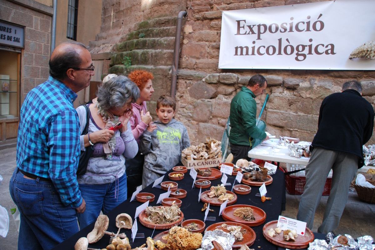 La Fira de la Llenega incorporarà el bosc de tardor al nom