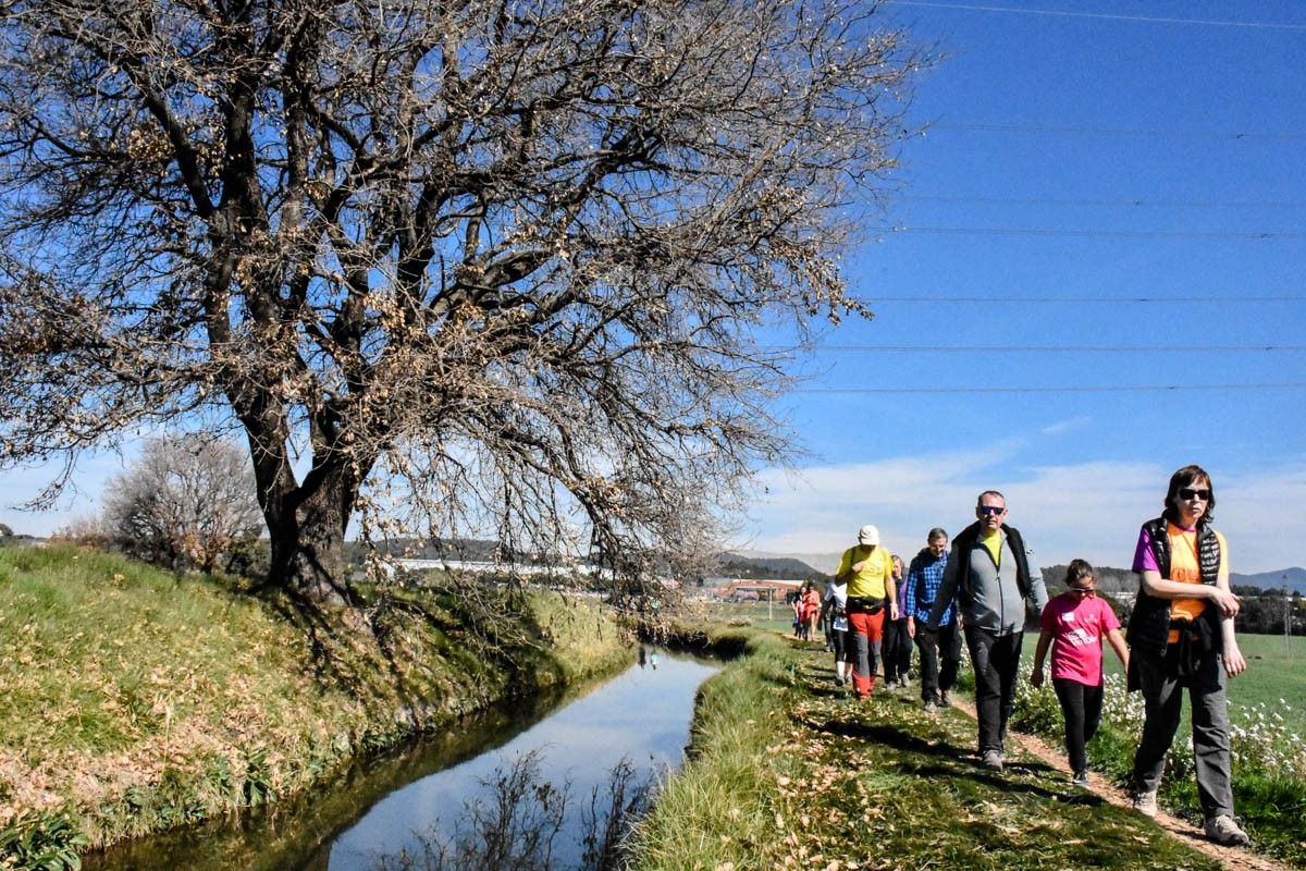 La Transèquia genera importants beneficis econòmics