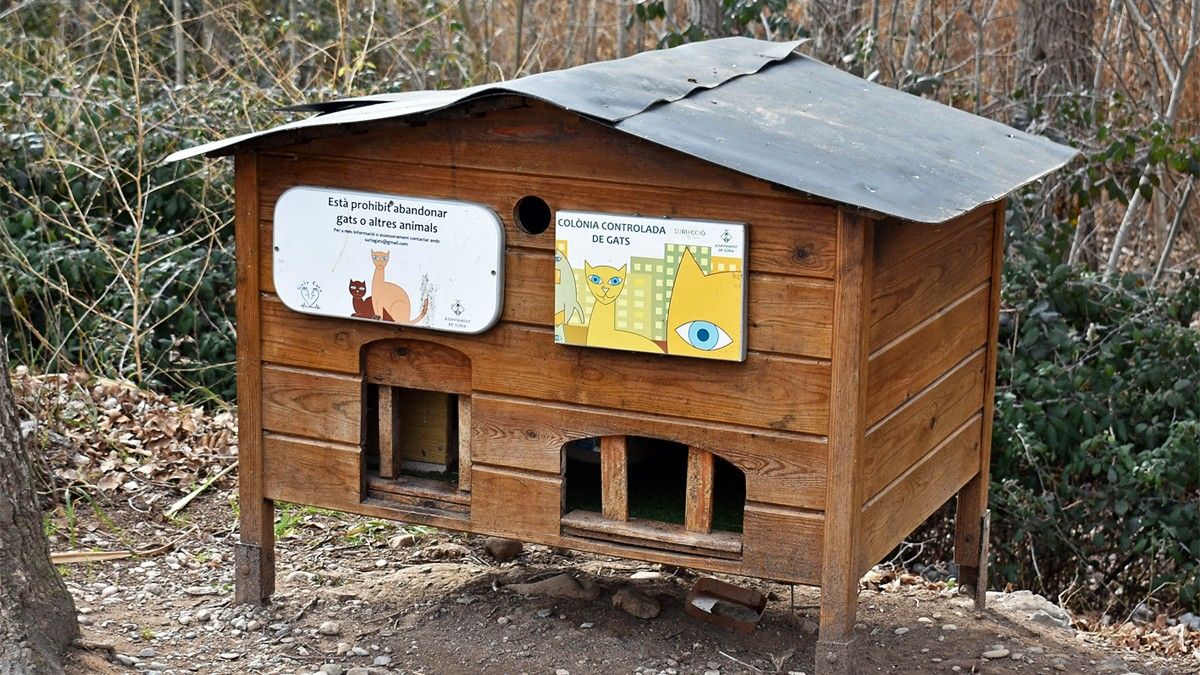 Caseta d'una colònia de gats urbans, a l'entorn del centre de la vila