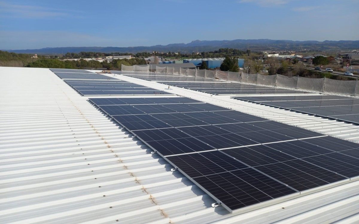 Plaques fotovoltaiques al sostre del pavelló Rafa Martínez de Santpedor