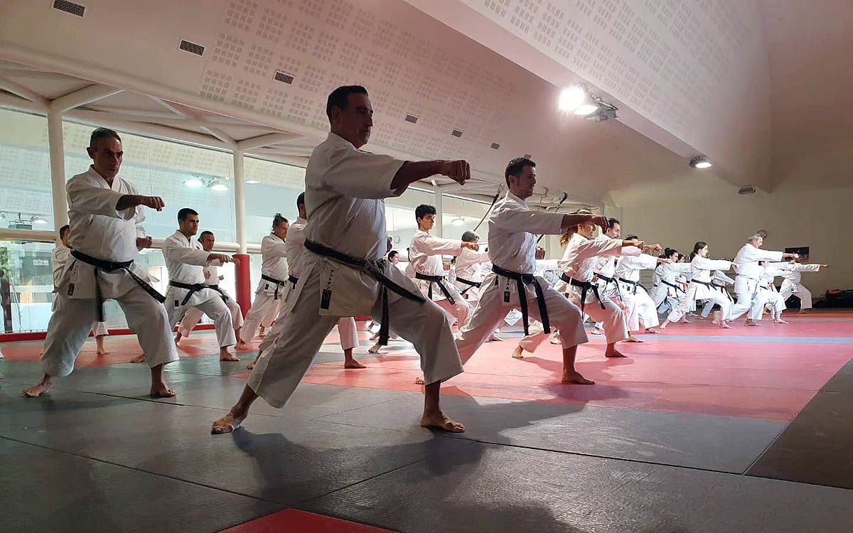 Seminari de karatedo Esport7 impartit per Jean Pierre Fischer a Manresa