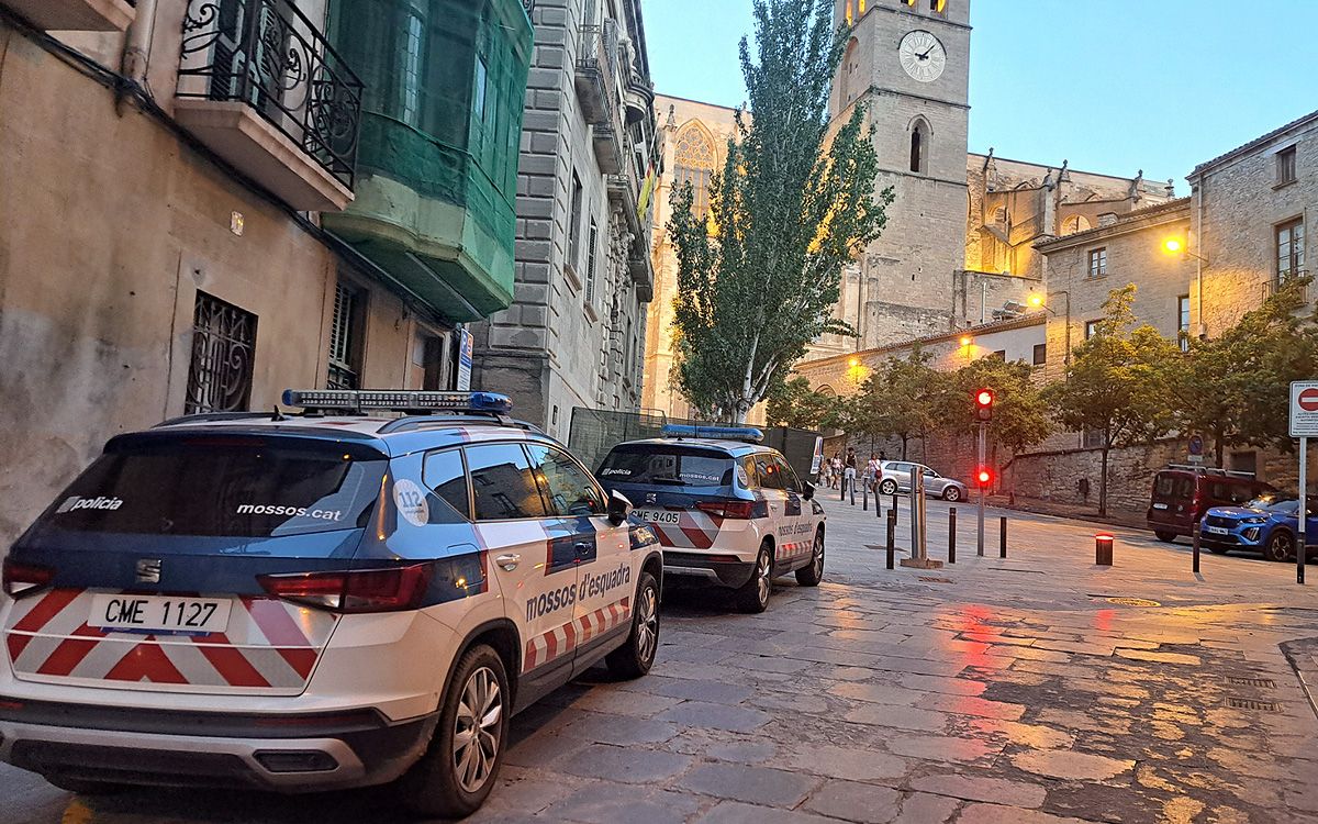 Patrulles dels Mossos d'Esquadra a la baixada de la Seu, on han passat els fets