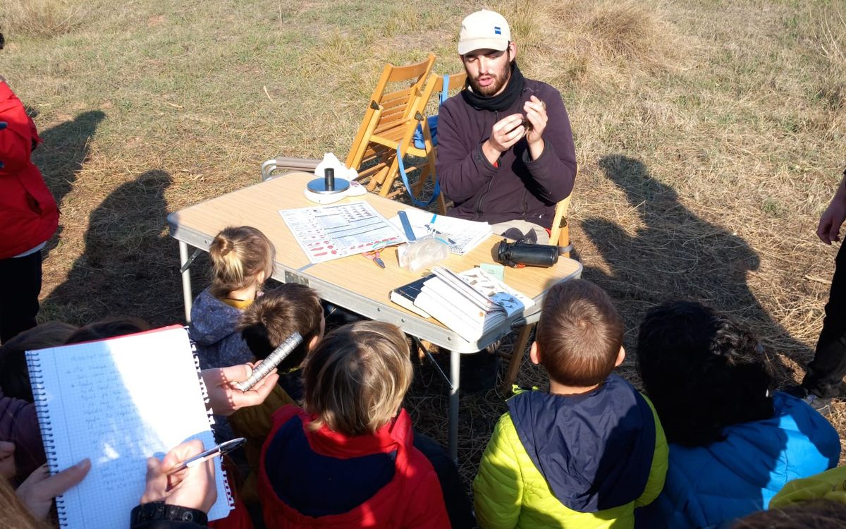 Anellament d'ocells a l'Aiguamoll de la Bòbila, el 2023