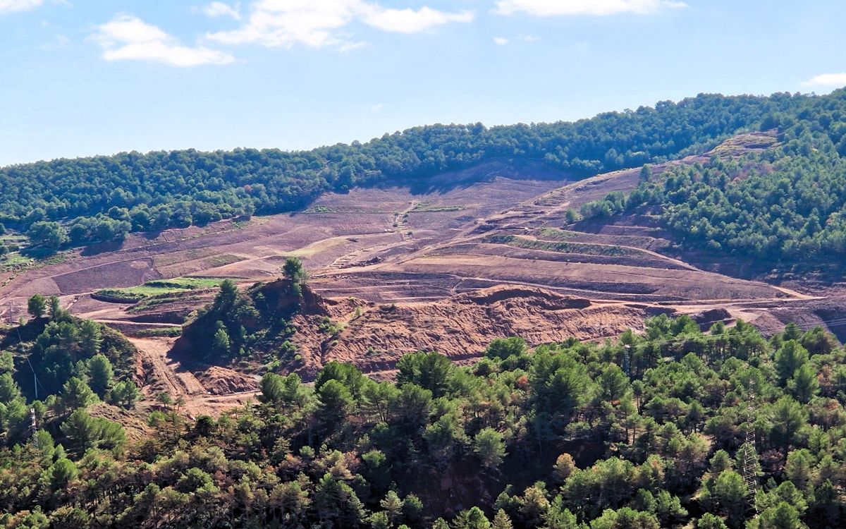 Estat actual de la Terrera Nova de Cardona després d'haver eliminat les restes salines