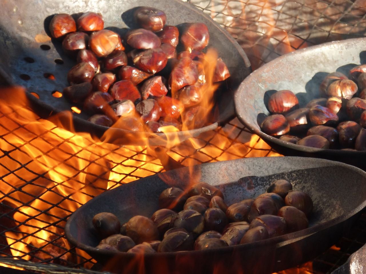 La castanya protagonitzarà el Marcat de la Terra de Sant Fruitós, aquest novembre