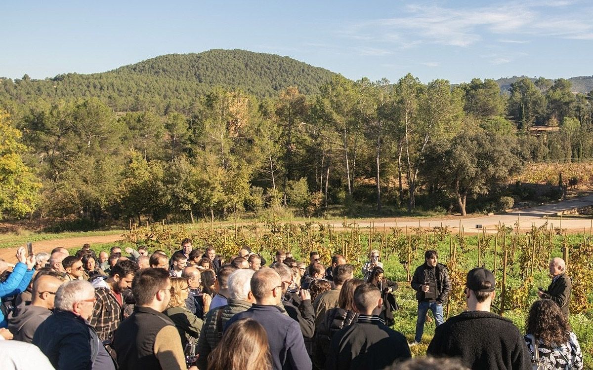 Tast vertical de vuit de les millors anyades de l’Abadal 3.9 Vi de Finca Qualificada