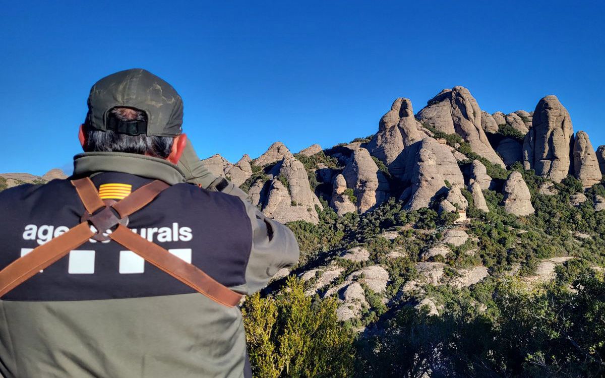 El cos dels Agents Rurals treballant a Montserrat