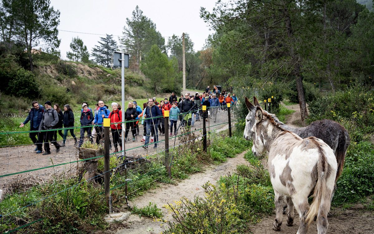 L'estrena de la Ruta de les Matonaires va aplegar un centenar de participants