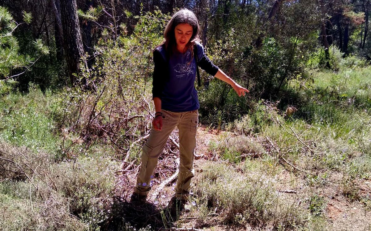 Elena Sixto conduirà el taller sobre plantes de Supercoop