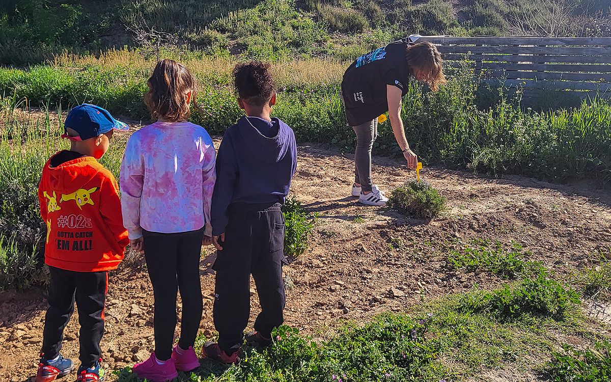 La Casa de la Culla disposarà d'un refugi de papallones