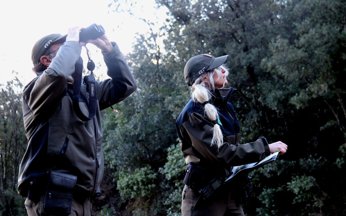 Dos agents rurals fan el recorregut a peu per Montserrat per fer el cens de cabres salvatges