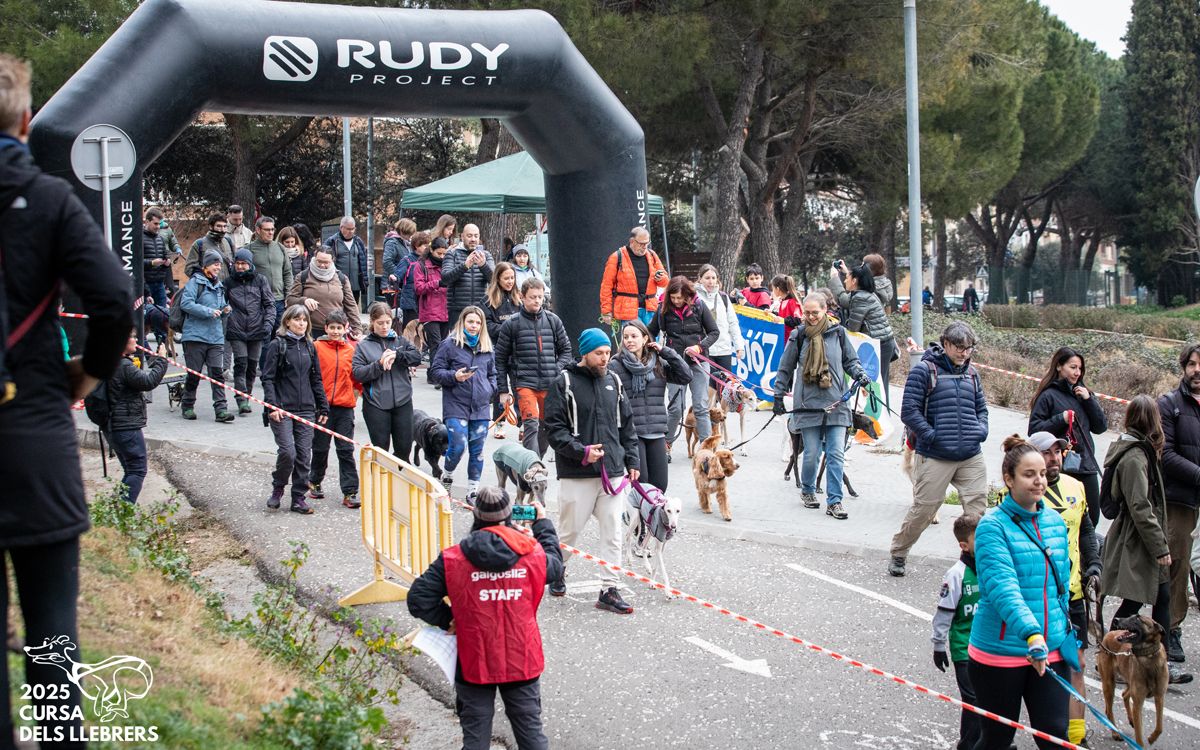 La Cursa dels Llebrers de Sant Fruitós va aplegar més de 300 participants