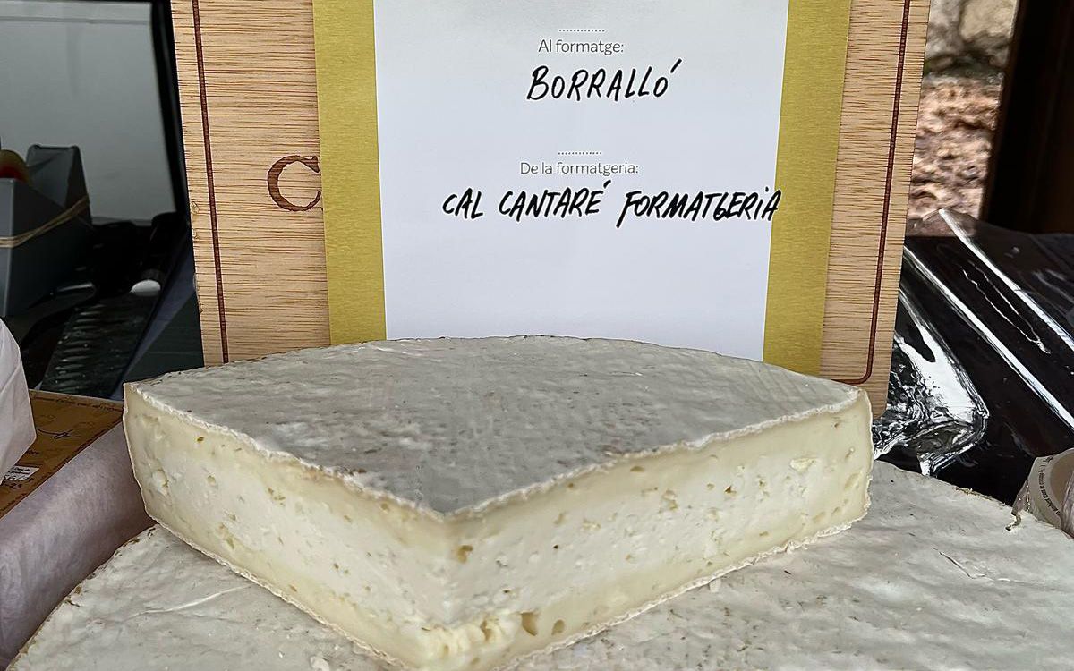 El Borralló de Cal Cantaré, medalla d'or dels formatges d'ovella de pasta tova