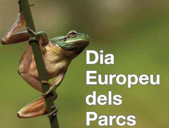 El Dia Europeu dels Parcs se celebra aquest 24 de maig arreu del nostre territori amb més de quaranta activitats gratuïtes.