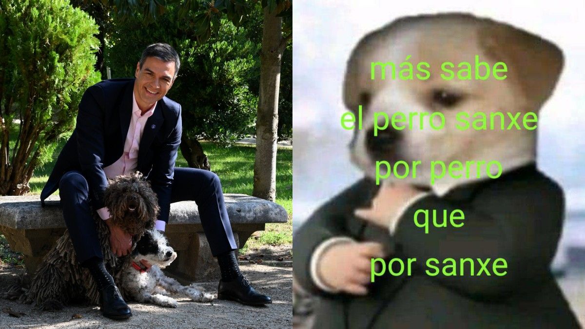 Pedro Sánchez, amb dos gossos, i un dels mems que s'han fet a les xarxes socials