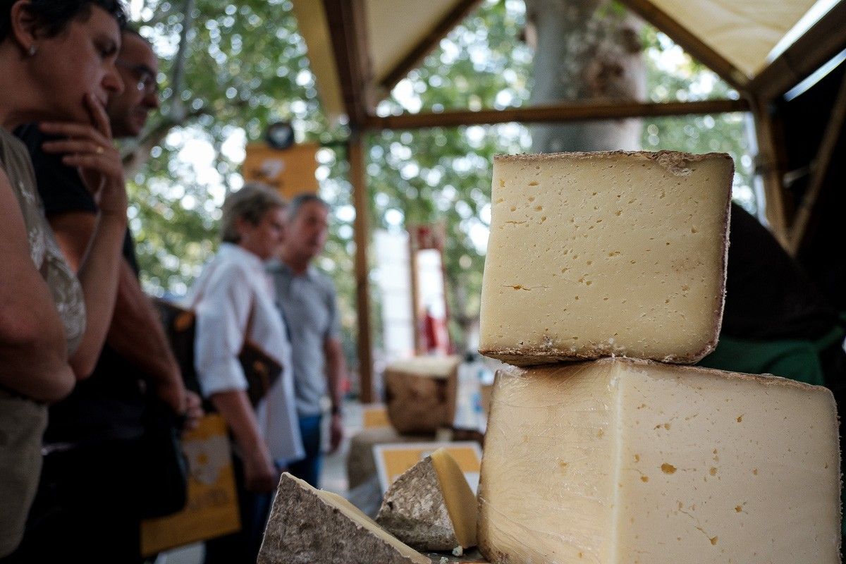 Torna la fira Lactium de Vic, la gran festa del formatge artesà català