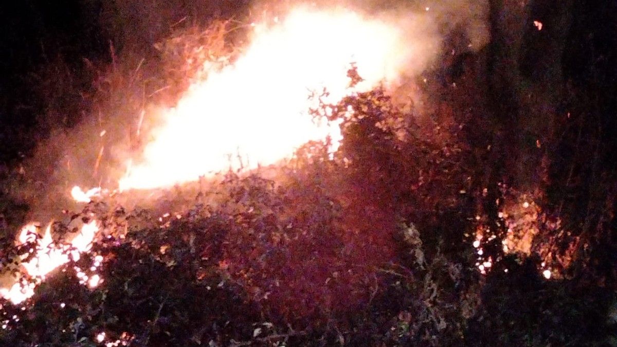 Un abocament de cendres encara calentes provoca un incendi en un marge de Sant Julià de Vilatorta.