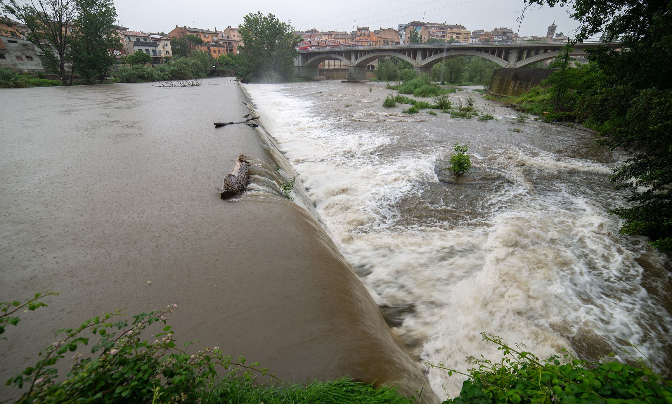 El riu Ter al seu pas per Roda de Ter, aquest juny.