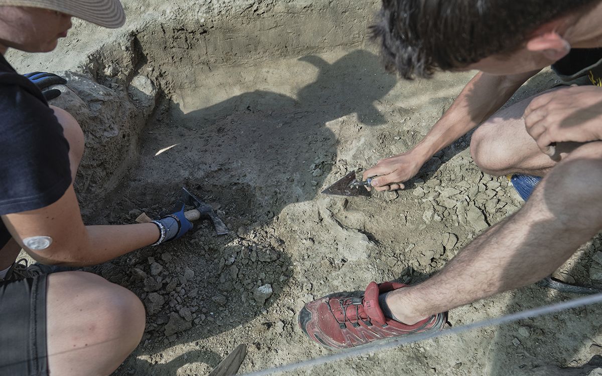 Excavacions arqueològiques al jaciment romanorepublicà del Camp Lloses Tona.