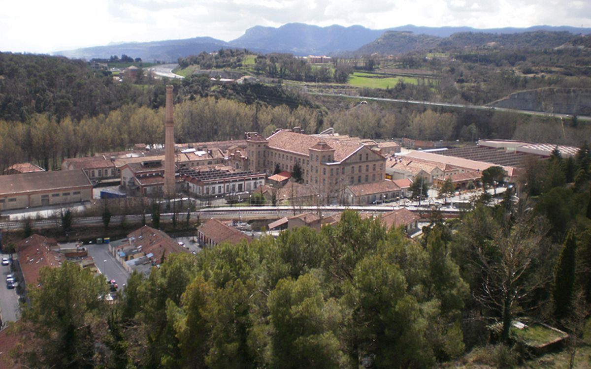 Pla general de la Colònia de Borgonyà, a Sant Vicenç de Torelló.