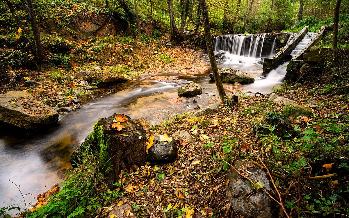 L'aigua baixa amb alegria a la riera Major (Osona) aquesta tardor del 2024.